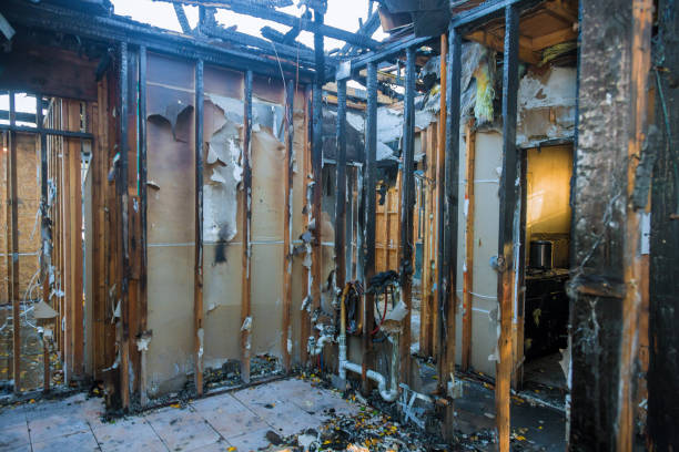 Professional Fire Damage Removal technician working in Hanover, MN