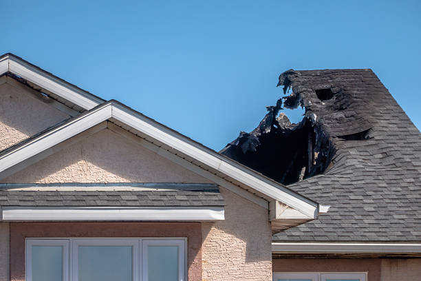 Top rated local Fire Damage Removal specialists in Hanover, MN